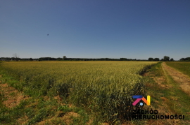 Działka rolna o pow. 4,59 Ha